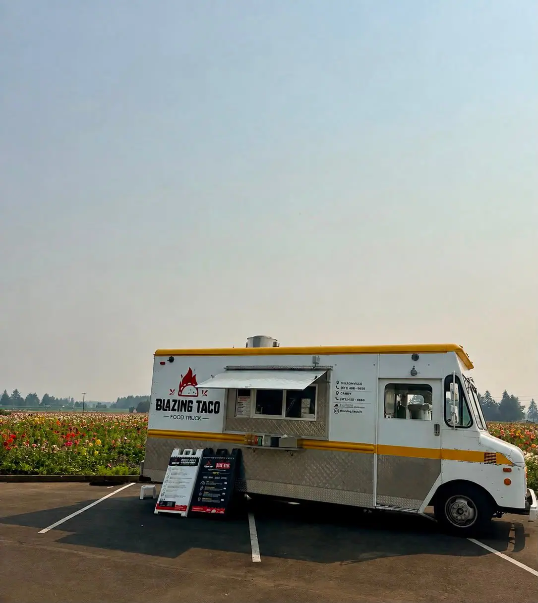Tacos catering from a local food truck