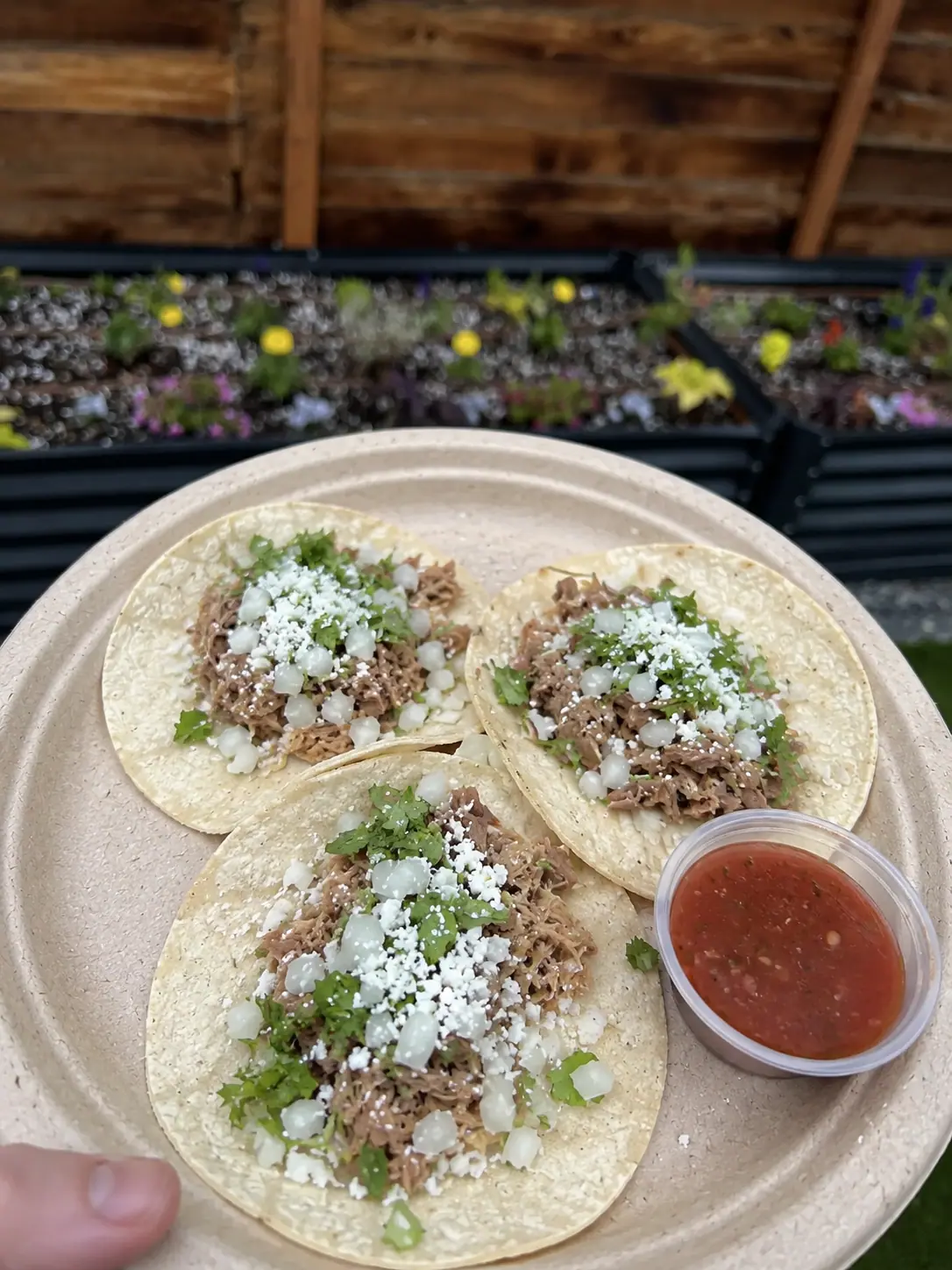 Food Truck Avenue food truck catering in Saratoga County, NY