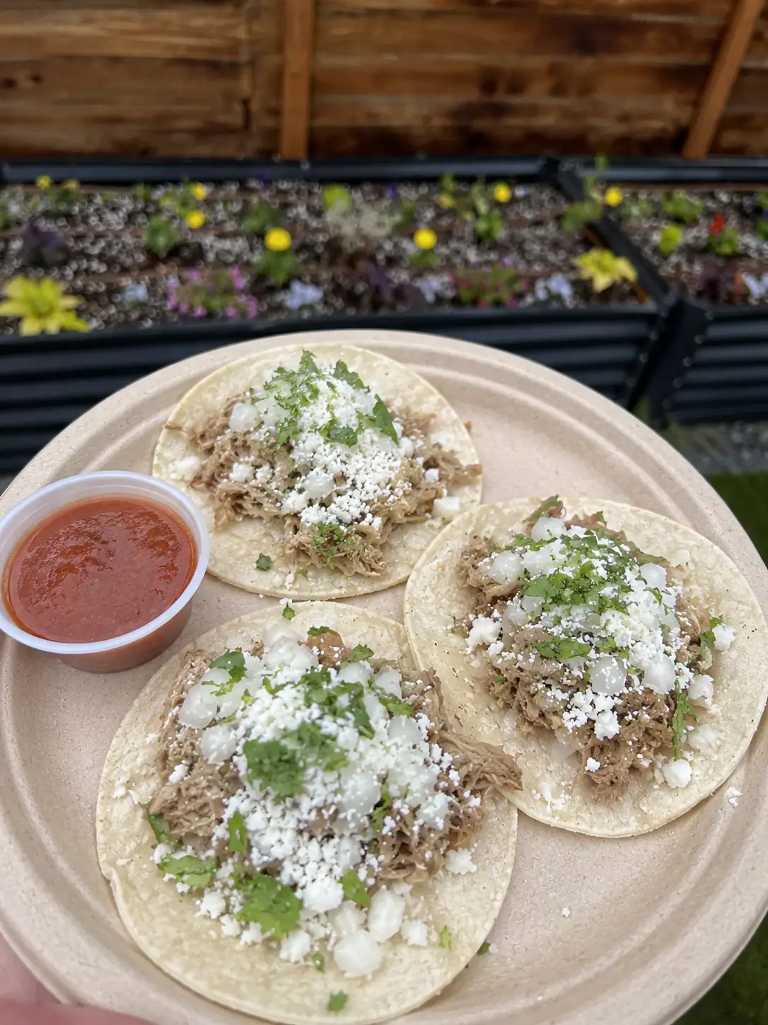 Tacos catering from a local food truck