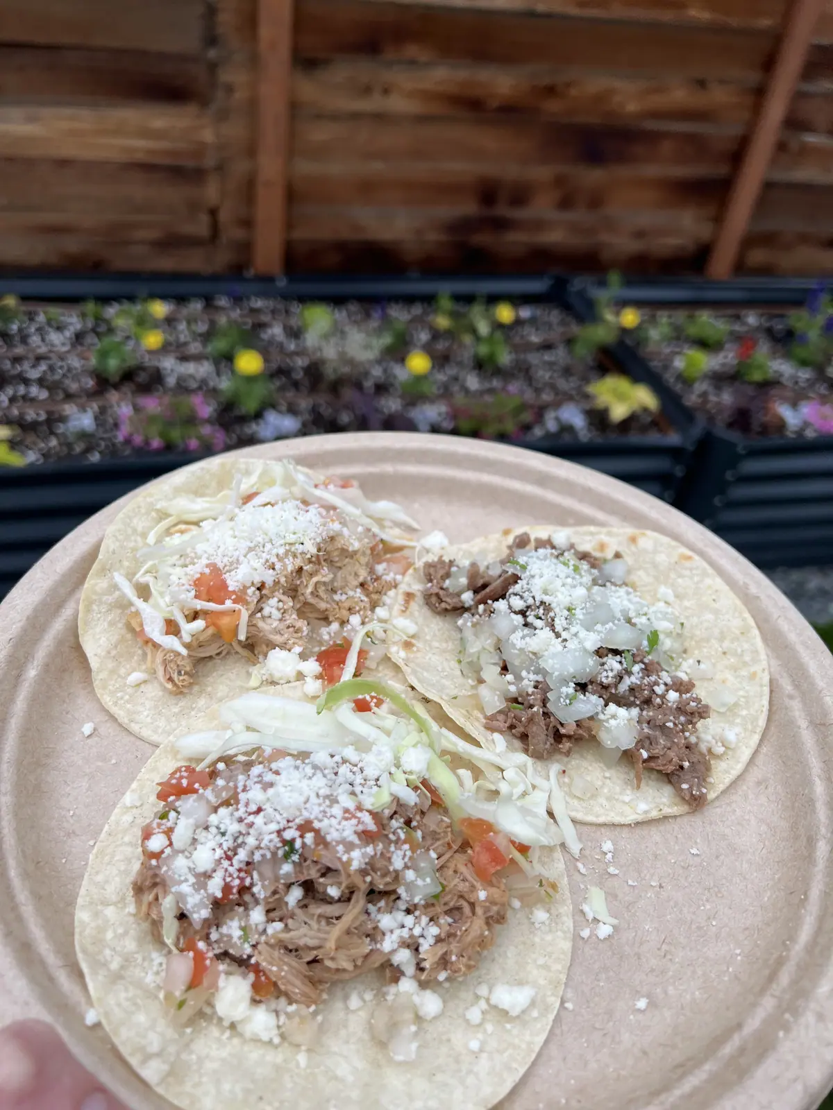 The Walking Taco food truck catering in Admiral, TX
